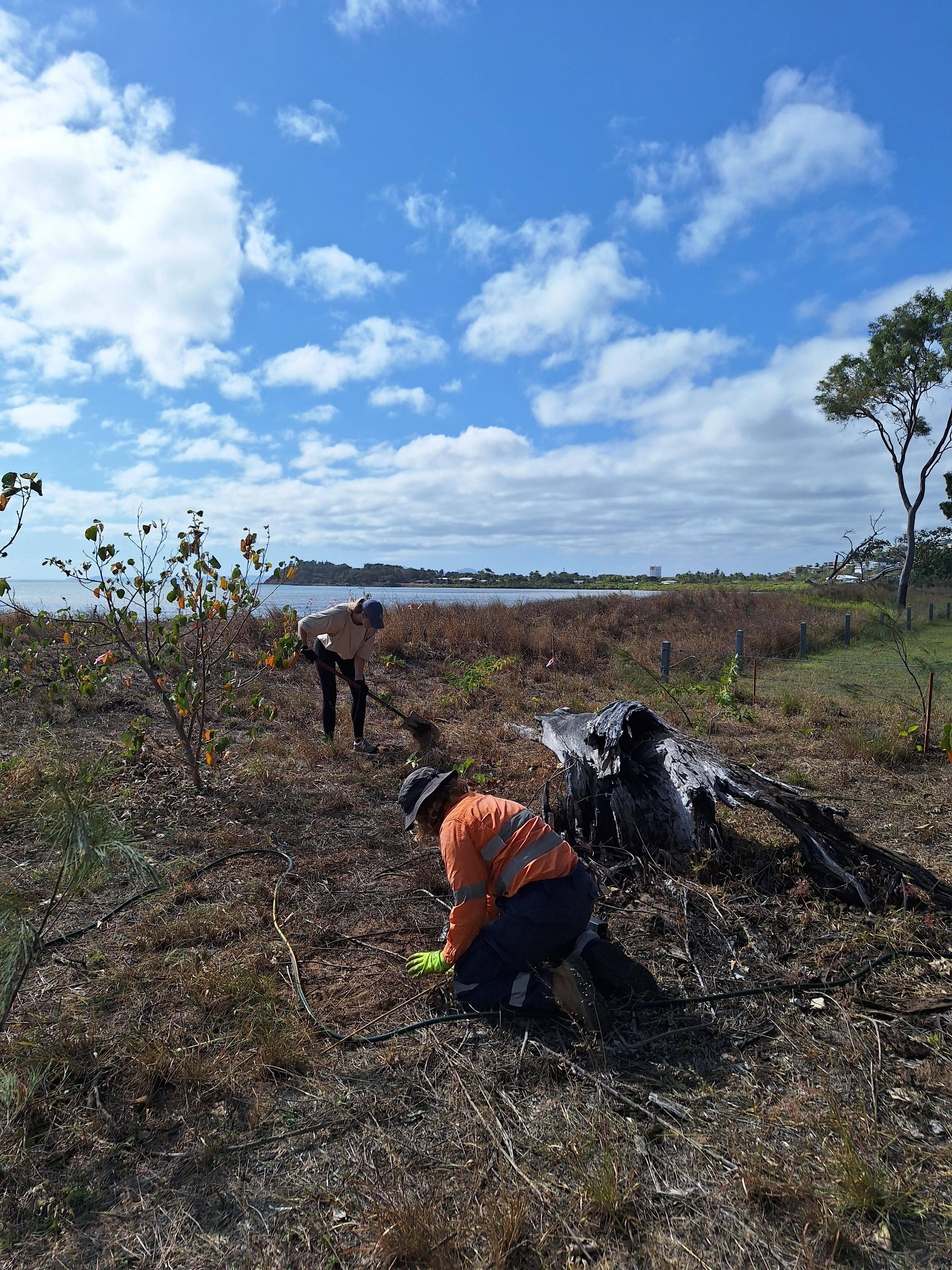 Three individuals conducting fieldwork in a forested area with scattered trees and clear sky.