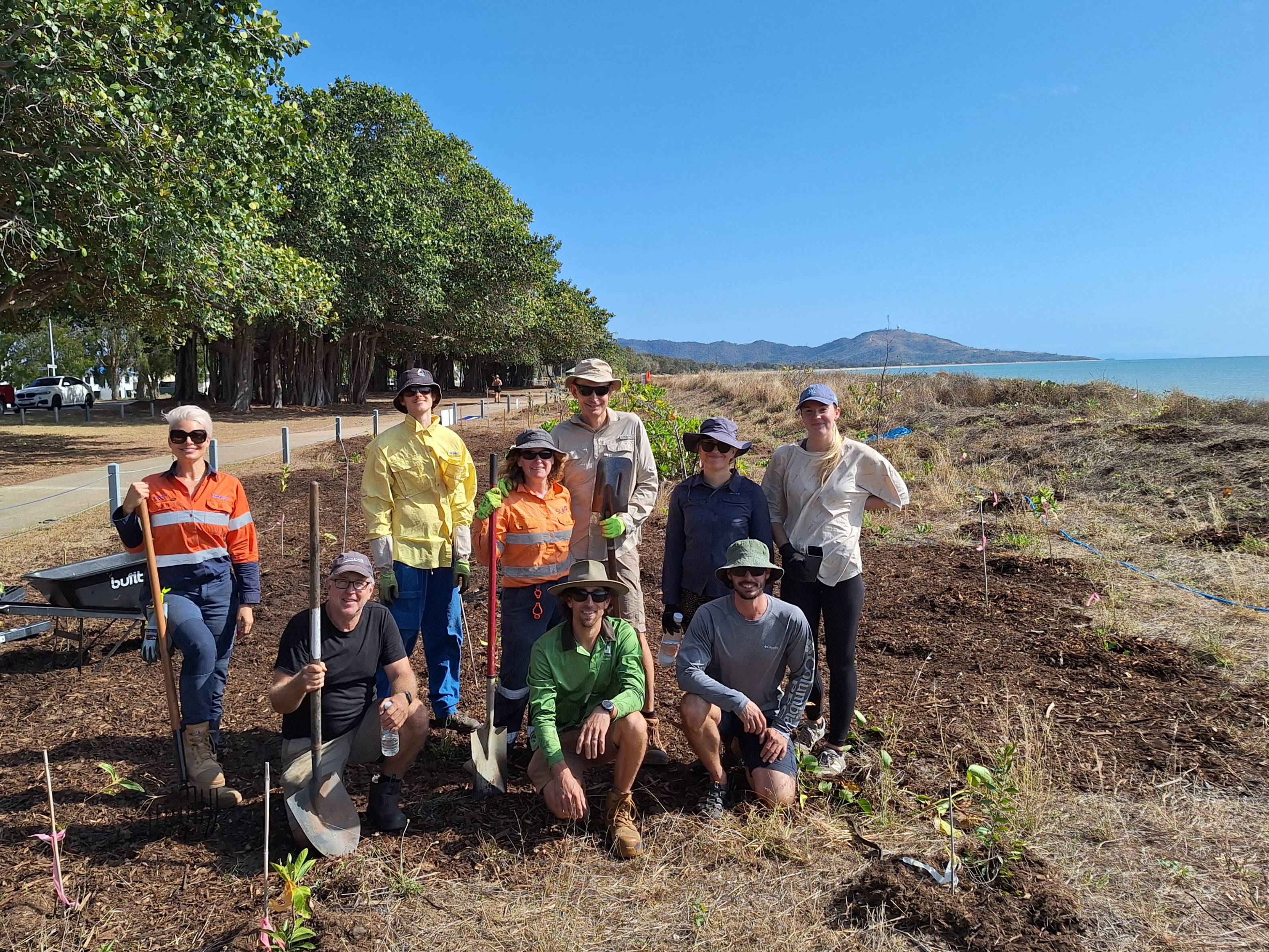 Group of people volunteering in a coastal environmental cleanup, planting trees under a clear blue sky.